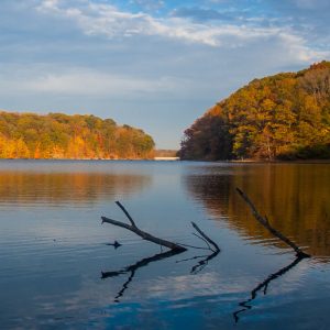 Indiana Lake with Sticks in Water