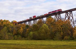 The Tulip Trestle