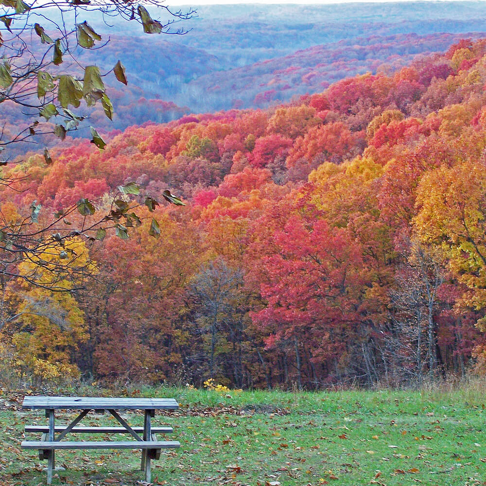 Overlooking a valley in fall color